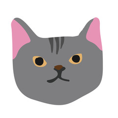Cute kitty cat face nursery animal pet