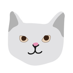 Cute kitty cat face nursery animal pet
