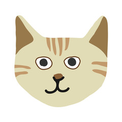 Cute kitty cat face nursery animal pet