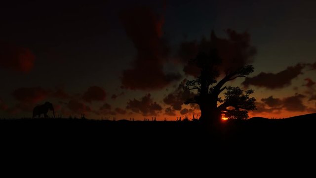 African Elephant walking towards a Baobab tree against beautiful Timelapse Sunrise, 4K