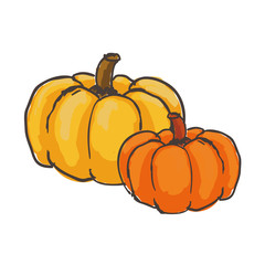 Hand drawn vegetable pumpkin