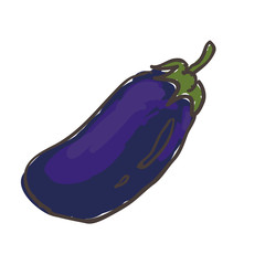 Hand drawn vegetable eggplant
