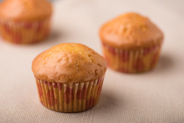 Freshly baked delicious muffins