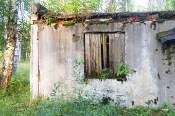 destroyed and abandoned house in the forest