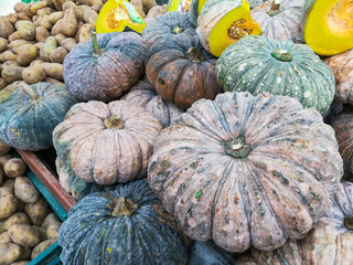 organic fresh asian pumpkins and potato for on sale in the super market, for healty, mature ripe ready for cooking
