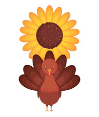 turkey and sunflower over white background, vector illustration
