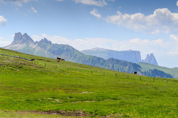 Fresh summer dolomites, Italy