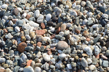 Colorful sea pebbles - Beautiful round stones on the beach