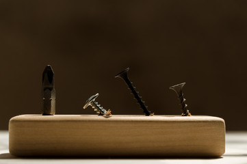 Learn the work with a screwdriver. Teaching to use tools. Conceptual photo. Bit for screwdriver and...