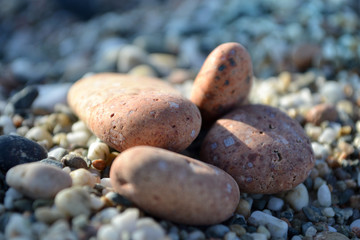 Colorful sea pebbles - Beautiful round stones on the beach