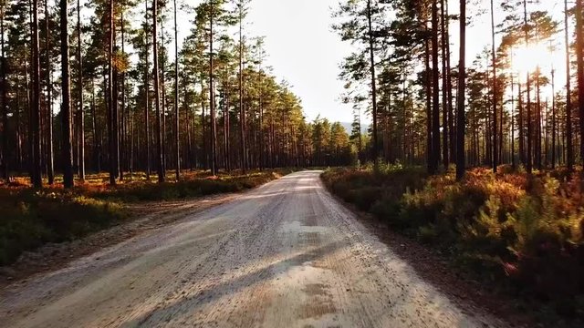 Flying along a old dusty road in the middle of the pine forrest.
Location, Sandnesodden, Telemark, Norway