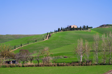 Tuscan countryside with farm and rows of trees under the blue sky