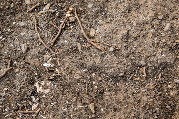 Natural textured background, earth, sticks, dry remains on a large stone surface. Brown tone.