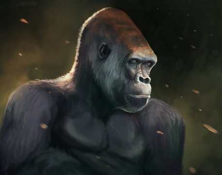 Lowland gorilla portrait with dark abstract background - digital animal painting