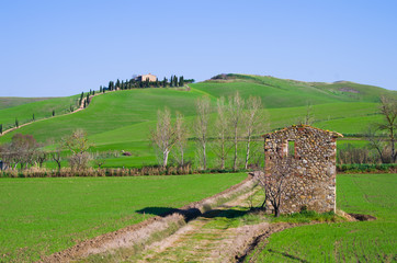 Tuscan countryside with farm and rows of trees with ruin
