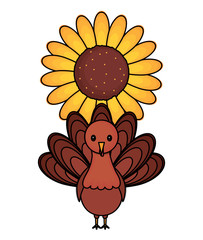 turkey and sunflower over white background, vector illustration