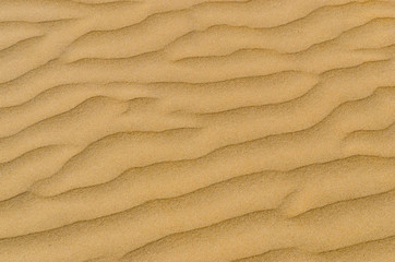 Fototapeta na wymiar Sand in the desert dunes