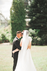 Wedding couple bride and groom holding hands