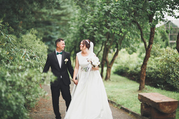 Wedding couple bride and groom holding hands