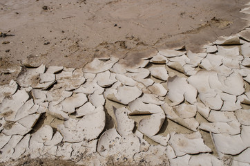 Mud cracks in dried up pond