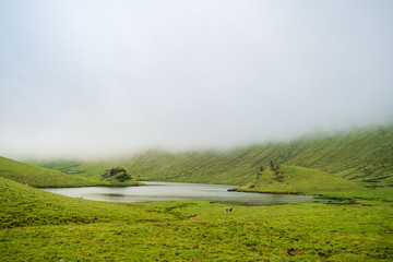 Little mount near a lake on the bottom of the cauldron of Corvo Island in Azores