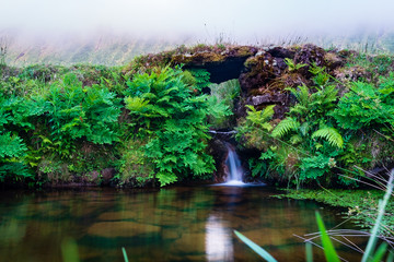 little waterfall on the bottom of cauldron of Corvo Island in Azores