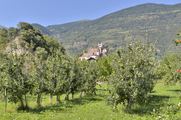 Fototapeta na wymiar view on a little italian castle back apples trees in orchard