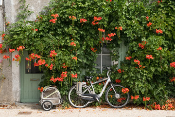 Fototapeta na wymiar vélo transport île de ré écologique piste cyclable verdure maison fleur façade vacances temps tranquille lent vivre douceur remorque