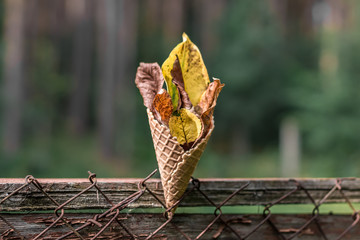 Autumn sketch. Autumn leaves in a waffle horn are stuck in a metal grid in the fence. Close-up. 