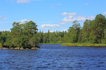 Fototapeta premium Beautiful view of gorgeous nature landscape. Blue lake water and green forest on blue sky background. Sweden, Europe.