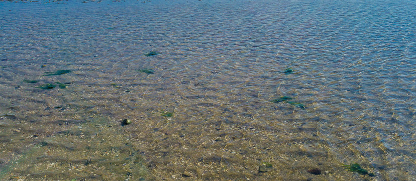 Sea water puddle texture or background