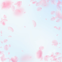 Sakura petals falling down. Romantic pink flowers vignette. Flying petals on blue sky square backgro