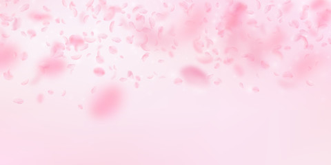 Sakura petals falling down. Romantic pink flowers gradient. Flying petals on pink wide background. L