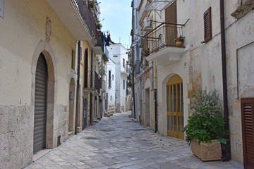Fototapeta na wymiar Italy, Puglia region, Altamura, view and details of palaces, alleys, churches, doors, windows, balconies and various architecture of the historic center.