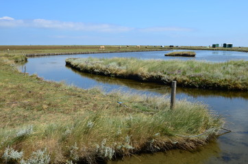 Fototapeta premium Hallig-Hooge