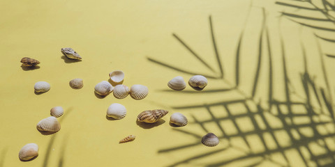 Holiday, vacation tropical beach from above - palm tree leaves
