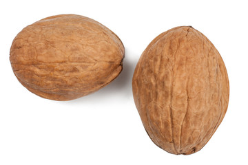 Walnuts isolated on white. The view from the top