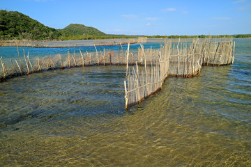 Traditional Tsonga fish trap built in the Kosi Bay estuary, Tongaland, South Africa.