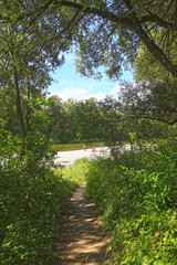 Isarauen, Bavaria, green trail to the gravel banks of Isar river near Munich, ideal for hiking and...
