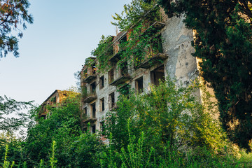 Ruined overgrown apartment house with bullet marks in ghost town, consequences of war in Abkhazia, green post-apocalyptic concept 