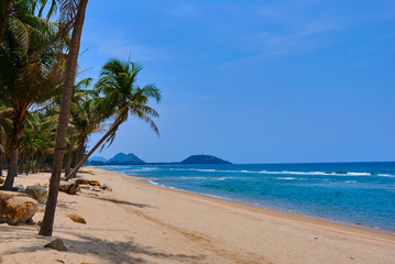Landscape of paradise tropical island beach. Palm trees at tropical coast. Untouched tropical beach. Beautiful tropical golden sand beach and coconut palm trees. Holiday and vacation concept.