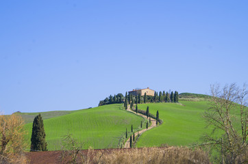 Tuscan countryside with farm and rows of trees