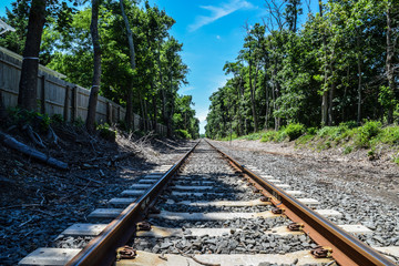 Fototapeta premium railway in the forest