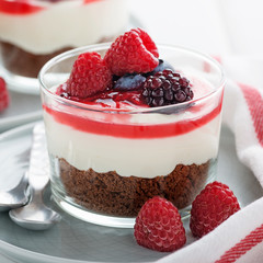 Cheesecake in glass  with fresh raspberries and cream cheese. Healthy homemade organic dessert.