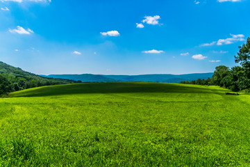 Obraz premium green field in the mountains