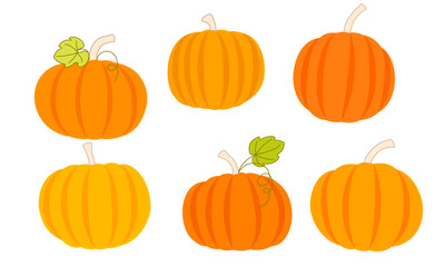 Set of orange pumpkins. Autumn harvest of vegetables. Vector