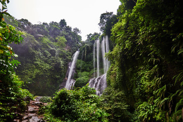 Beautiful waterfall in green tropical forest. View of the falling water with splash of water makes. Nature landscape. Morning view on hidden majestic waterfall in the deep rain forest jungle. .