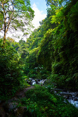 Amazing scenic view of a tropical forest with a river on a background of green trees in the morning sun. Mountain rainforest wate stream with fast flowing water and big stones. Travel concept.