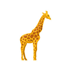 Giraffe, symbol of African savannah vector Illustration on a white background