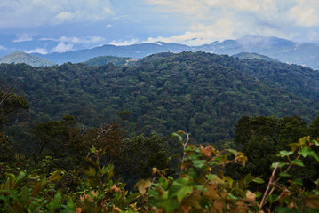 View on top of  mountain and  misty valley. Foggy mountains. Tropical  forest hills.  Foggy landscape.